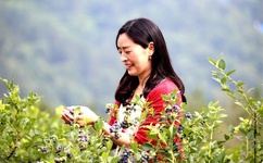 青春失乐园女主角